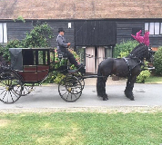 Horse and Carriage Hire in Manchester
